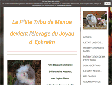 Tablet Screenshot of la-ptitetribu-de-manue.com